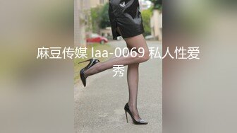 麻豆传媒 laa-0069 私人性爱秀