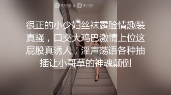 很正的小少妇丝袜露脸情趣装真骚，口交大鸡巴激情上位这屁股真诱人，淫声荡语各种抽插让小哥草的神魂颠倒