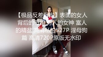 【极品反差母狗】表面的女人 背后的母狗 穷人的女神 富人的精盆 高清私拍527P 淫母狗篇 高清720P原版无水印