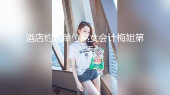 酒店约炮单位熟女会计梅姐第一季