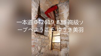 一本道 042619_838 高級ソープへようこそ ゆうき美羽