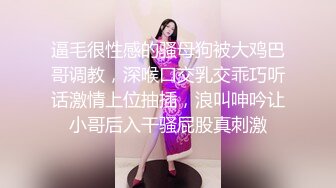 逼毛很性感的骚母狗被大鸡巴哥调教，深喉口交乳交乖巧听话激情上位抽插，浪叫呻吟让小哥后入干骚屁股真刺激