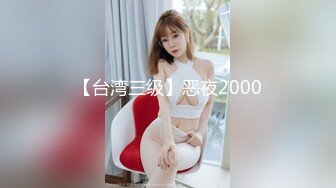 【台湾三级】恶夜2000