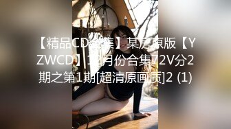 【精品CD合集】某房原版【YZWCD】12月份合集72V分2期之第1期[超清原画质]2 (1)